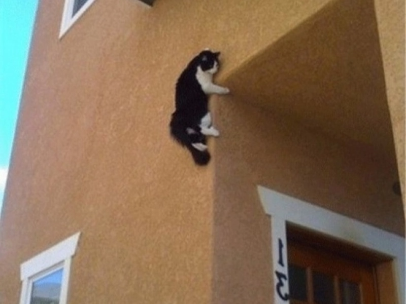 13 Mind-Blowing Photos You Won't Believe Are Real